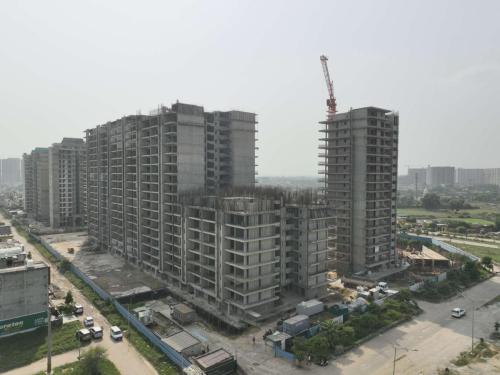 Site Gallery