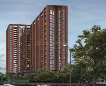 MEMENTO Pune