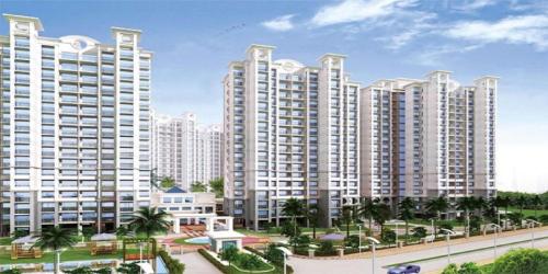 Nest Noida